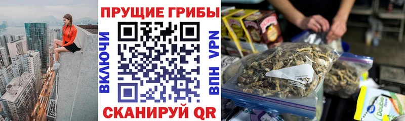 Псилоцибиновые грибы Psilocybe  кракен зеркало  Гдов 